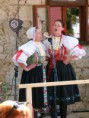/album/fotogaleria/podhoranka-hontianska-parada-nitra-brhlovce-aug-2012-86-jpg/